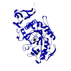 Image of CATH 1xh2