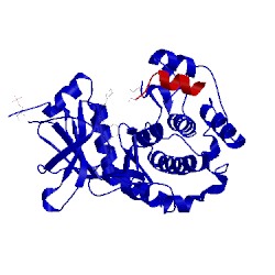 Image of CATH 1xh6