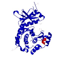 Image of CATH 1xh7