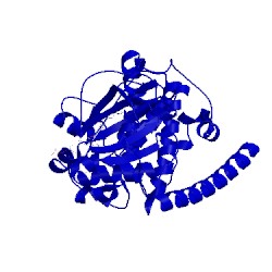 Image of CATH 1xha