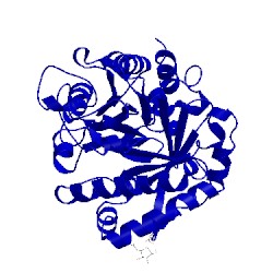 Image of CATH 1xhg