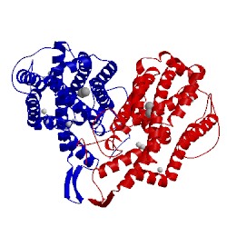 Image of CATH 1xik