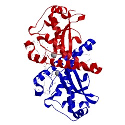 Image of CATH 1xil