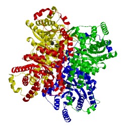Image of CATH 1xim