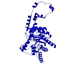 Image of CATH 1xis