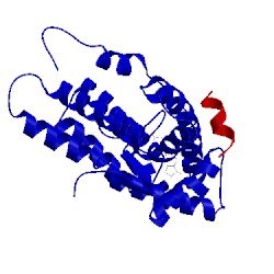 Image of CATH 1xj7