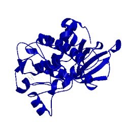 Image of CATH 1xjd