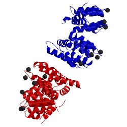 Image of CATH 1xjl