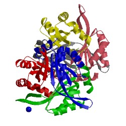 Image of CATH 1xk8