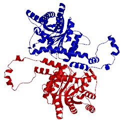 Image of CATH 1xla