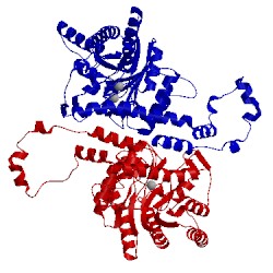 Image of CATH 1xle