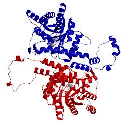 Image of CATH 1xlk