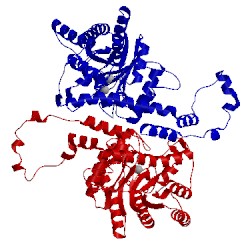 Image of CATH 1xll