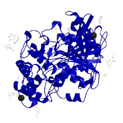Image of CATH 1xlw