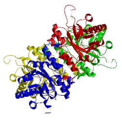 Image of CATH 1xm3