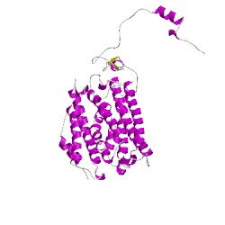 Image of CATH 1xmgD