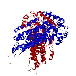 Image of CATH 1xmh