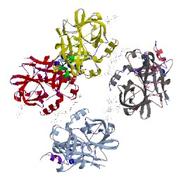 Image of CATH 1xmn