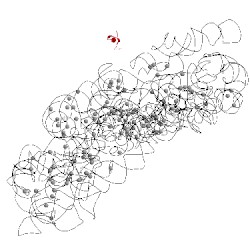 Image of CATH 1xmq