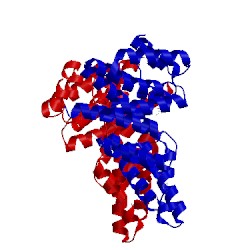 Image of CATH 1xnf