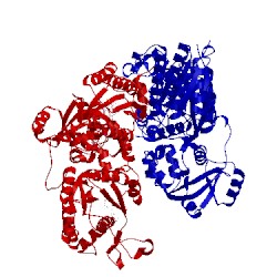 Image of CATH 1xnj