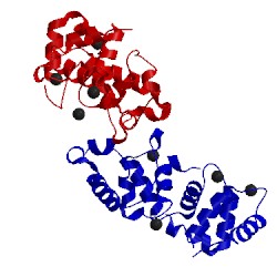 Image of CATH 1xo5