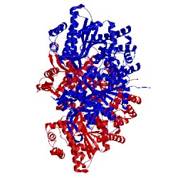 Image of CATH 1xoi