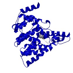 Image of CATH 1xoz