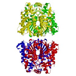 Image of CATH 1xpl