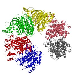 Image of CATH 1xpu