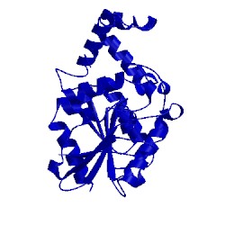 Image of CATH 1xrm
