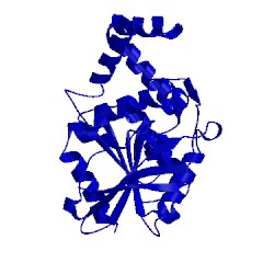 Image of CATH 1xrr