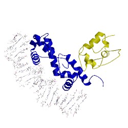 Image of CATH 1xs9