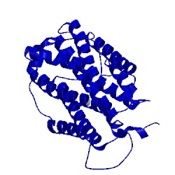 Image of CATH 1xsm