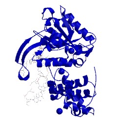 Image of CATH 1xsp
