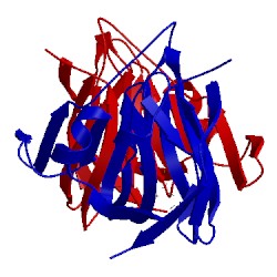 Image of CATH 1xsr