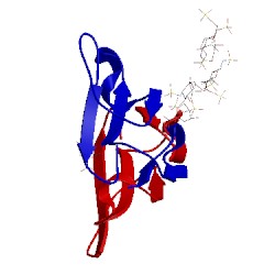 Image of CATH 1xt3