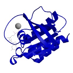 Image of CATH 1xtq