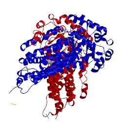 Image of CATH 1xu5