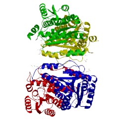 Image of CATH 1xu9