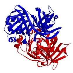 Image of CATH 1xua