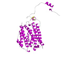 Image of CATH 1xvcD
