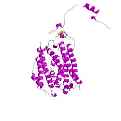 Image of CATH 1xvdD