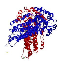 Image of CATH 1xvf