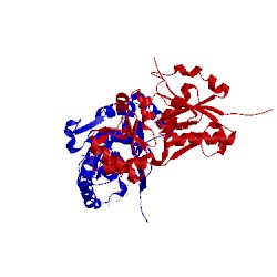 Image of CATH 1xvi