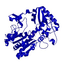 Image of CATH 1xvv