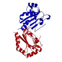 Image of CATH 1xvw