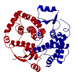 Image of CATH 1xwg