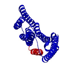 Image of CATH 1xwj