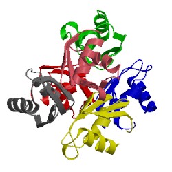 Image of CATH 1xxc